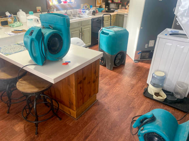 Best 24/7 water damage repair  in Franklinton, LA