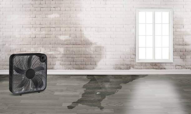 Best 24-hour water damage restoration  in Franklinton, LA