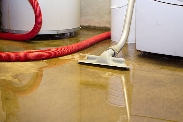 Best Commercial water damage restoration  in Franklinton, LA