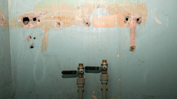 Best Local water damage restoration  in Franklinton, LA