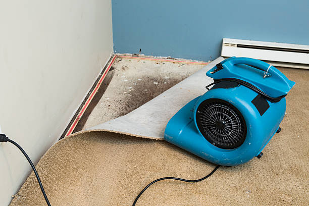 Best Sewage cleanup and water damage restoration  in Franklinton, LA